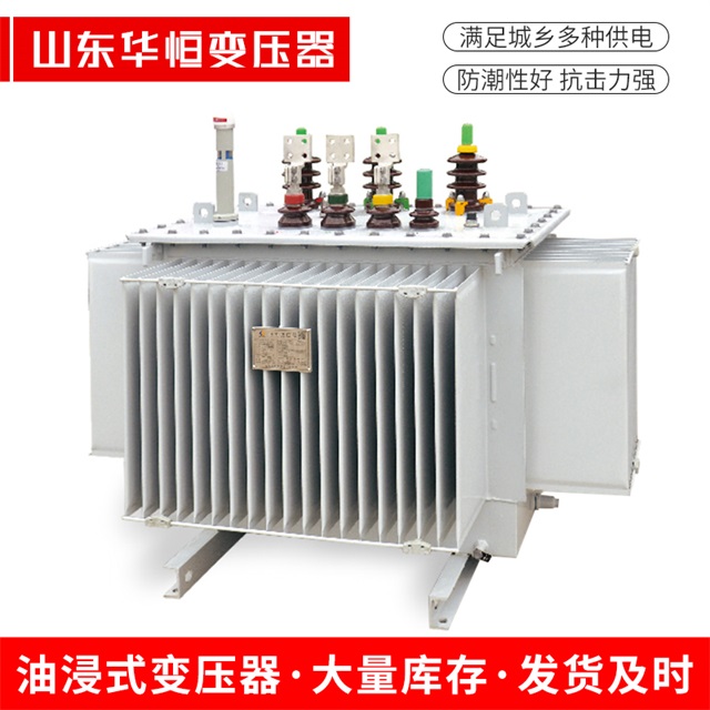 S13-10000/35墨玉墨玉墨玉电力变压器